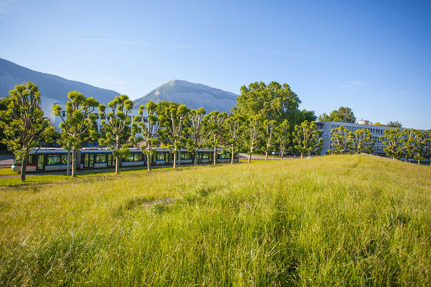 Transports en commun et préservation de la biodiversité sur les campus